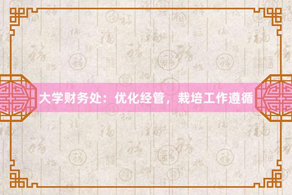 大学财务处：优化经管，栽培工作遵循